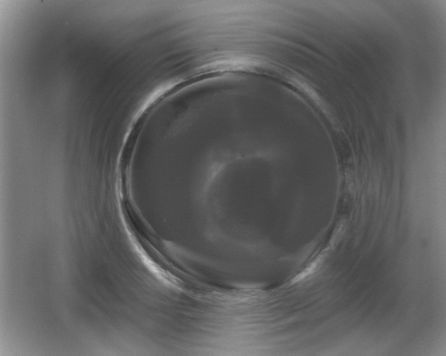X0000065991034200603061252