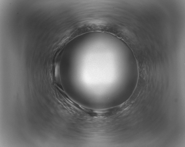 X0000065991061200603061251