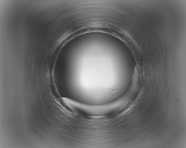 X0000065991065200603061251