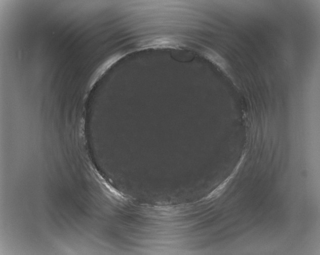 X0000065991066200603061251