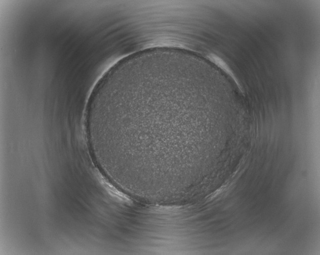 X0000065991068200603061251