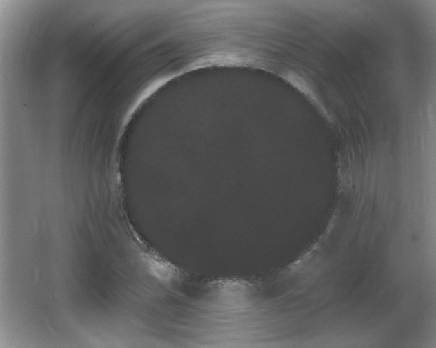 X0000065991070200603061251