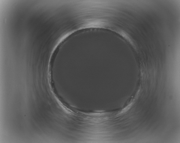 X0000065991077200603061251