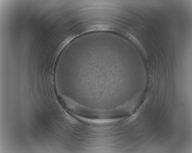 X0000065991081200603061251