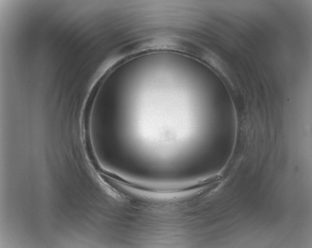 X0000065991082200603061251