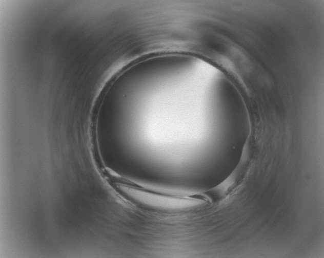 X0000065991085200603061251