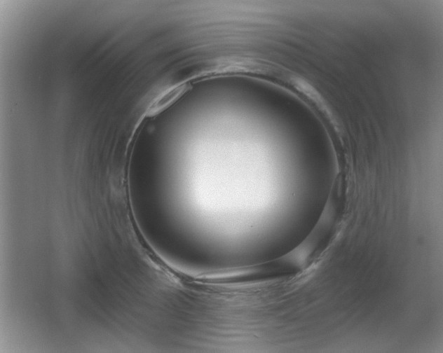 X0000065991089200603061251