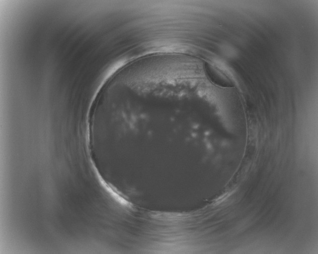 X0000065991095200603061251