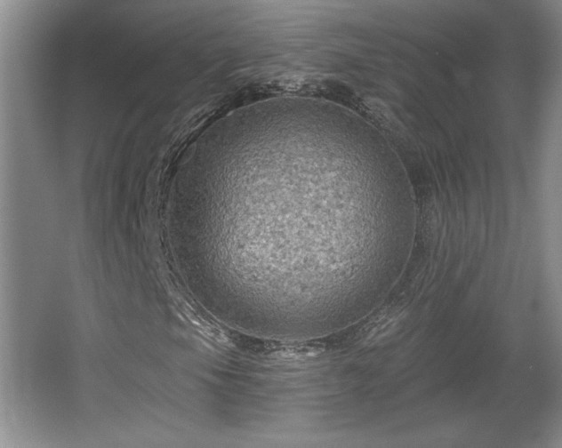 X0000065991105200603061250