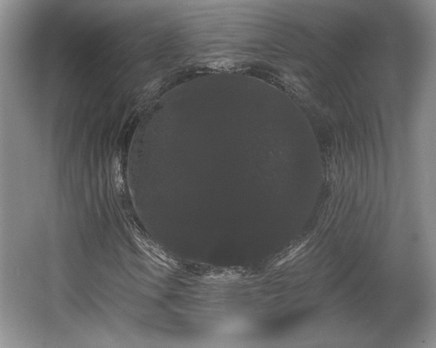 X0000065991106200603061250