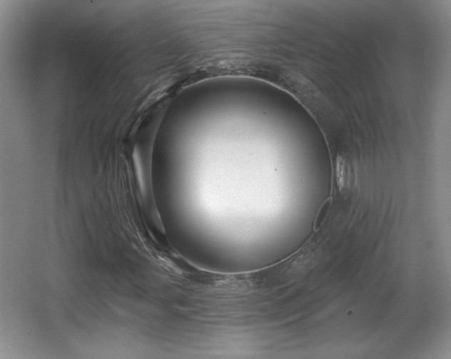 X0000065991107200603061250