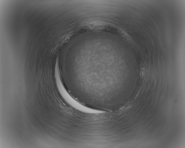 X0000065991108200603061250