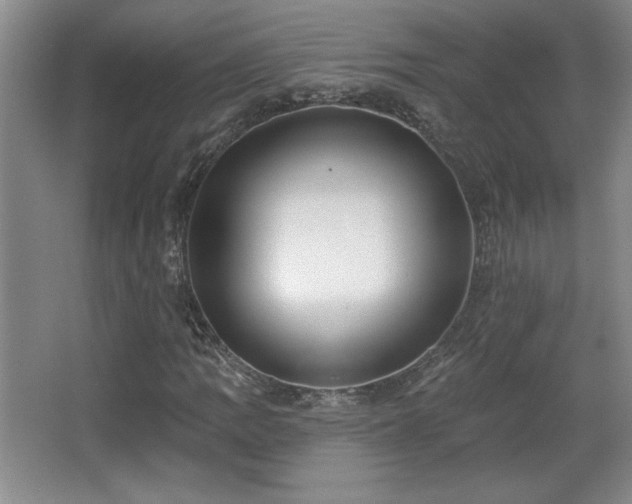 X0000065991109200603061250