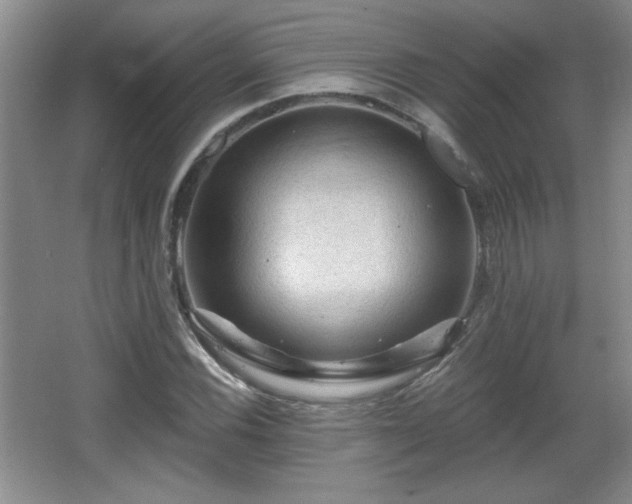 X0000065991116200603061250