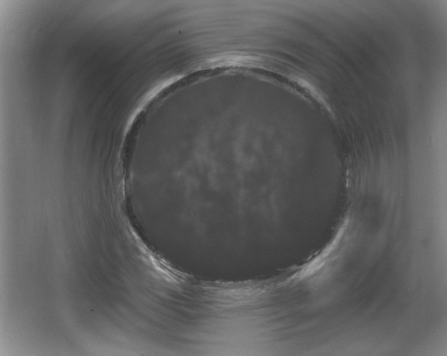 X0000065991117200603061250