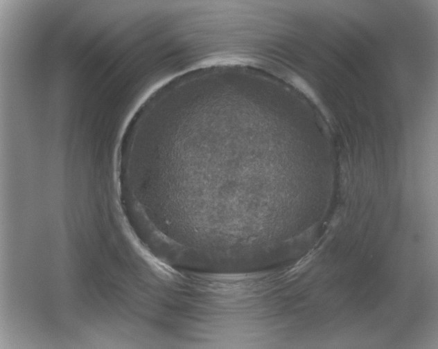 X0000065991124200603061250