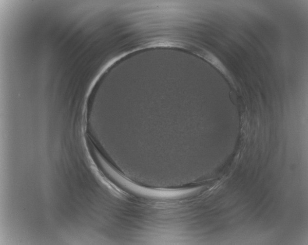 X0000065991132200603061250
