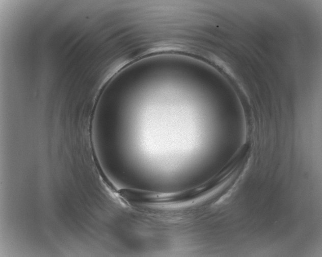 X0000065991137200603061250