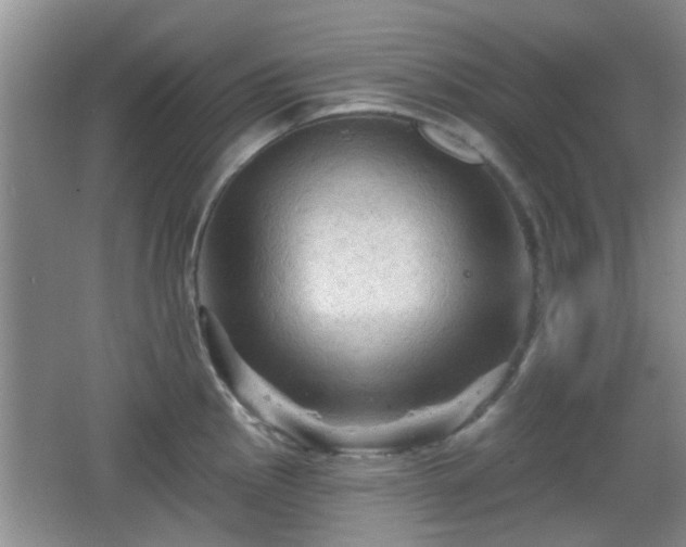 X0000065991145200603061251