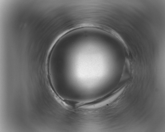 X0000065991148200603061251