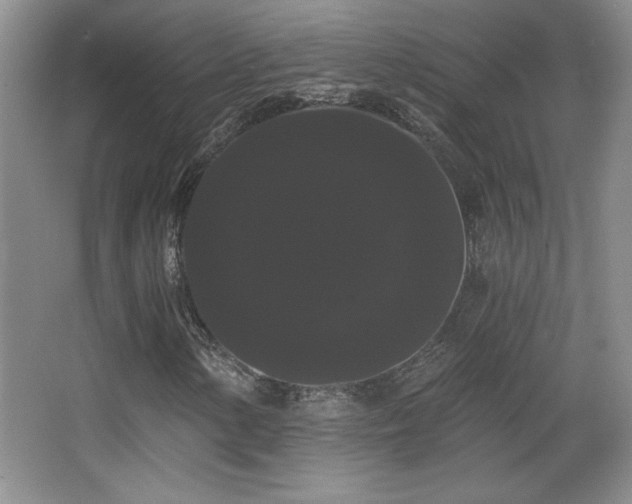 X0000065991154200603061250