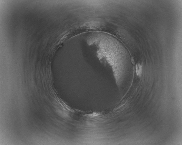 X0000065991155200603061250
