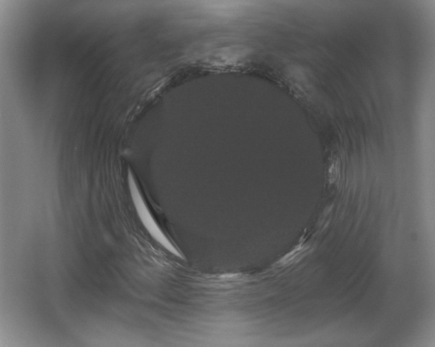 X0000065991156200603061250