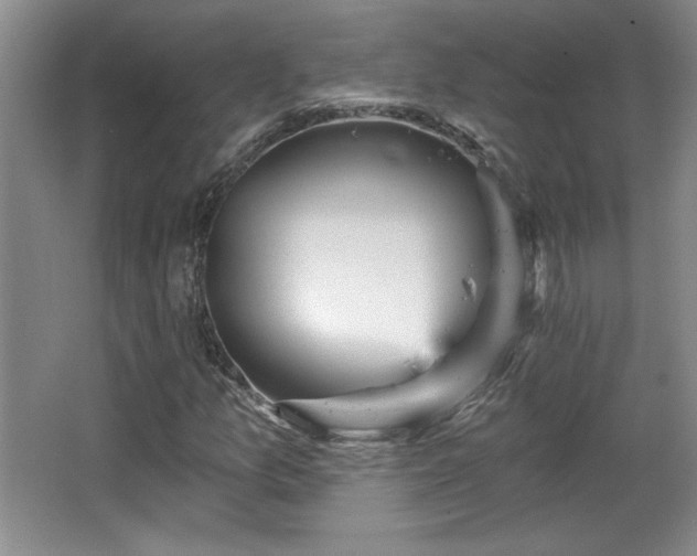 X0000065991157200603061250