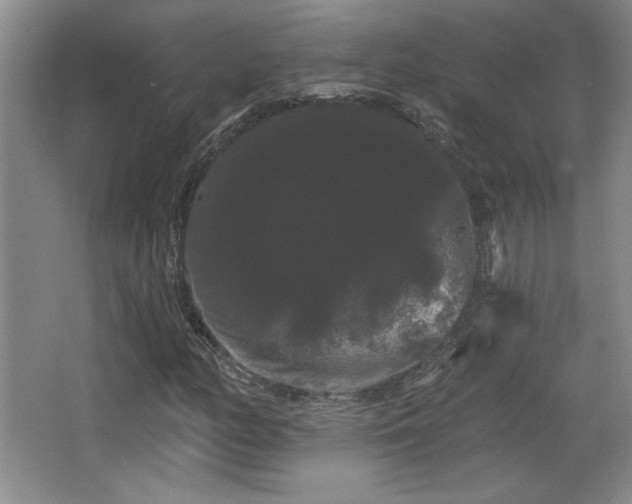 X0000065991158200603061250