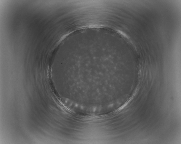 X0000065991161200603061250