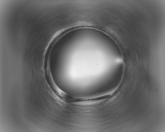 X0000065991168200603061250