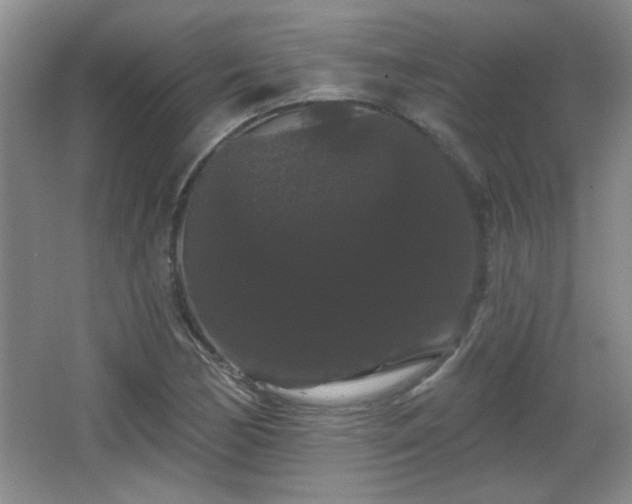 X0000065991170200603061250