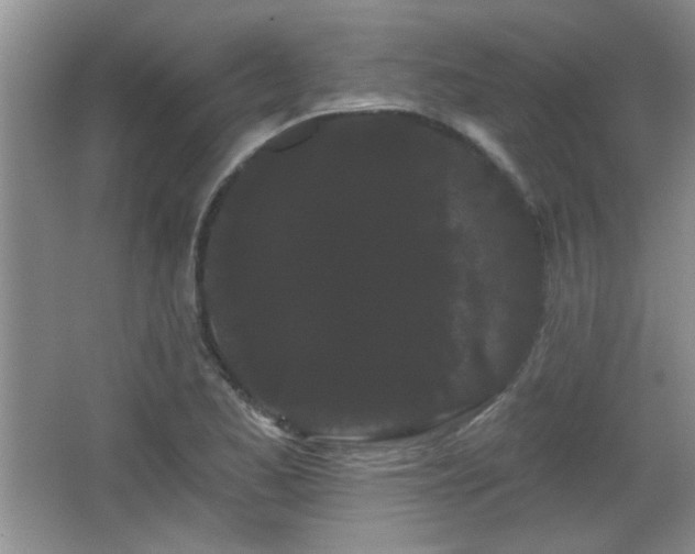 X0000065991173200603061250
