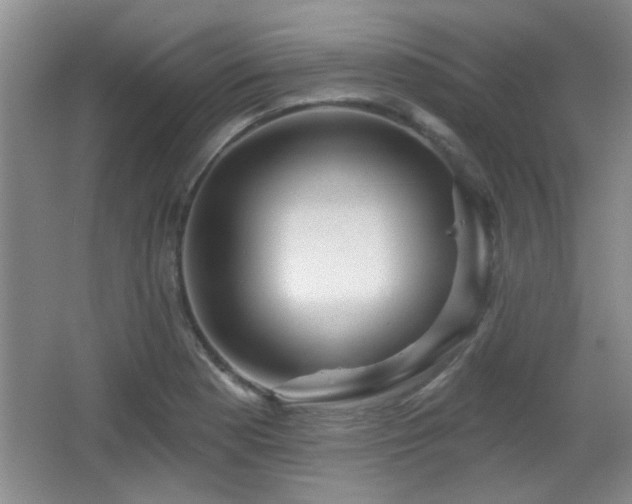 X0000065991177200603061249