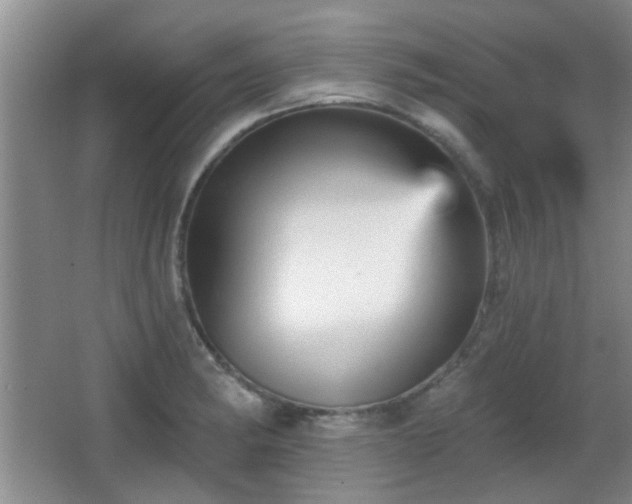 X0000065991182200603061249