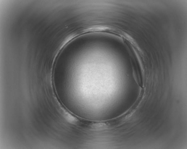 X0000065991186200603061249