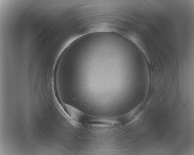 X0000065991187200603061249