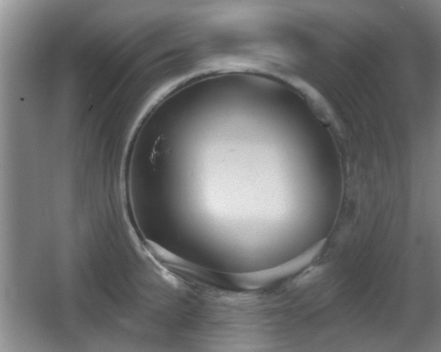 X0000065991191200603061249