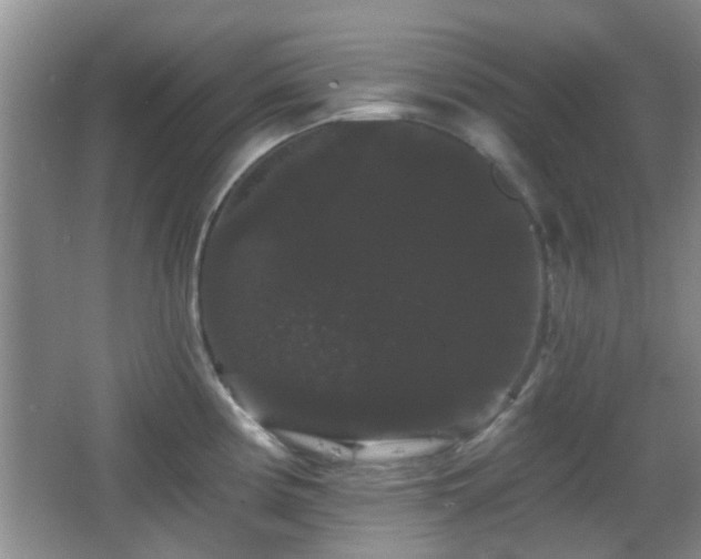 X0000065991194200603061249