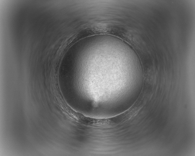X0000065991201200603061248