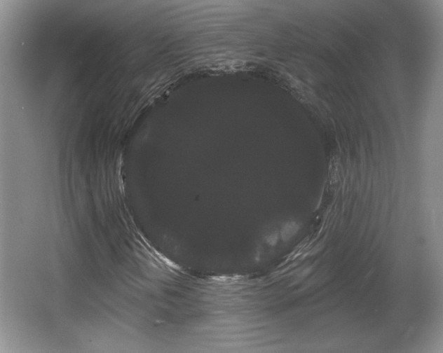 X0000065991202200603061248