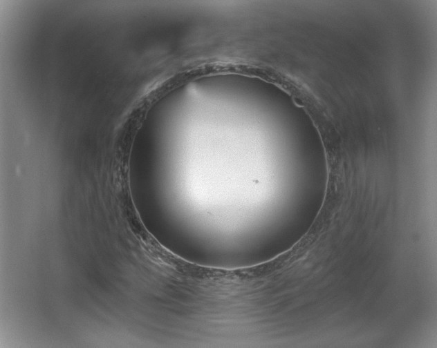 X0000065991207200603061248