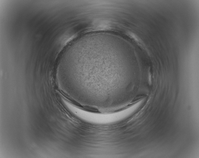 X0000065991210200603061248