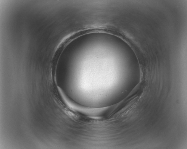 X0000065991214200603061249