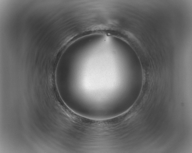 X0000065991217200603061249