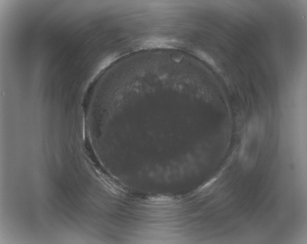 X0000065991219200603061249