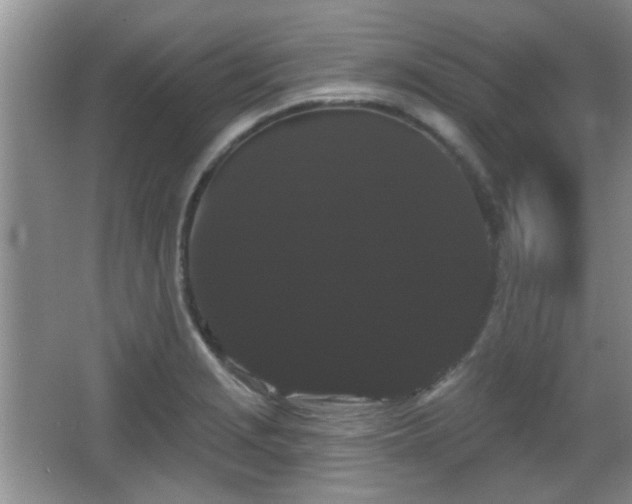 X0000065991229200603061249