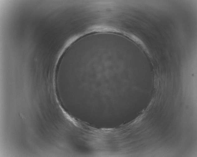 X0000065991231200603061249