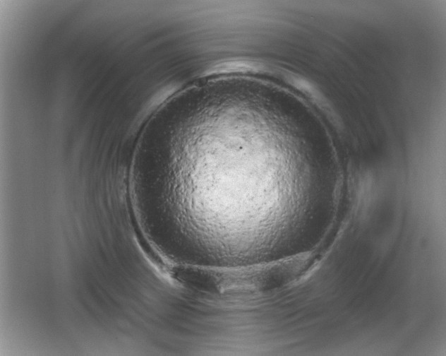 X0000065991233200603061249
