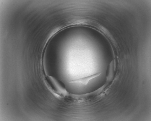 X0000065991234200603061249